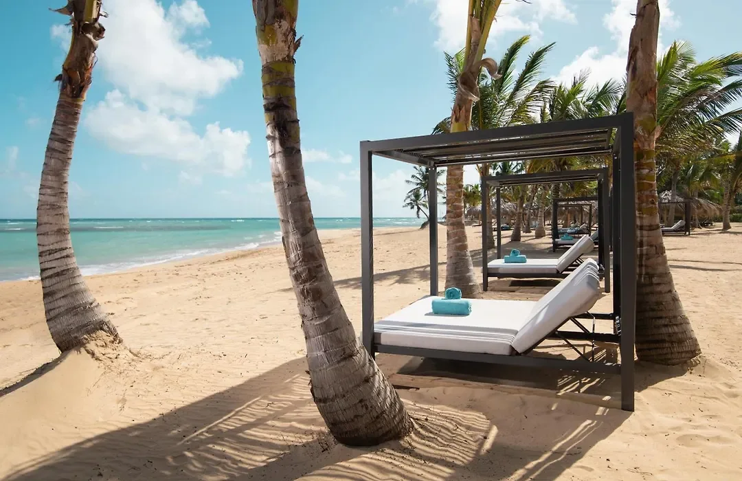Beach cabana beds under the palms